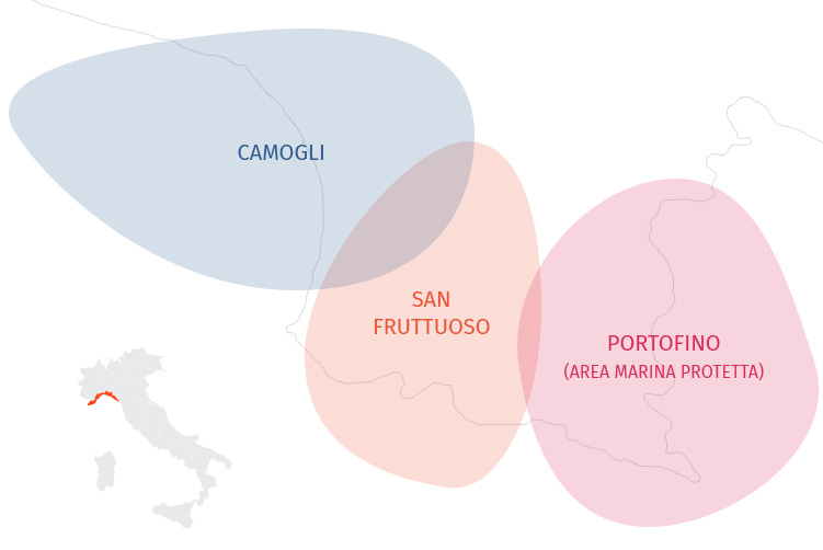 Grafische Karte des Gebiets Camogli - Portofino