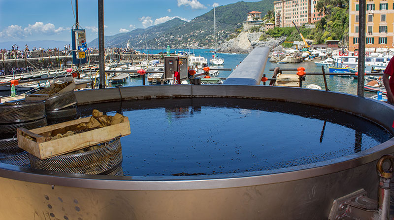 Giant pan with oil in the square in Camogli