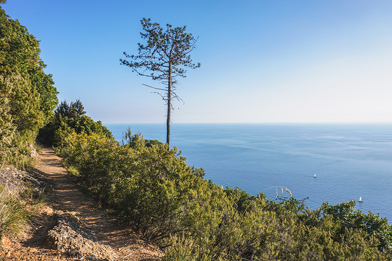 Panoramic path overlooking the sea