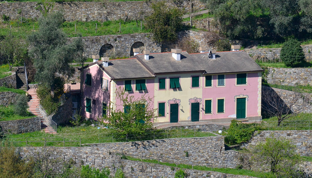 Villa Olivari