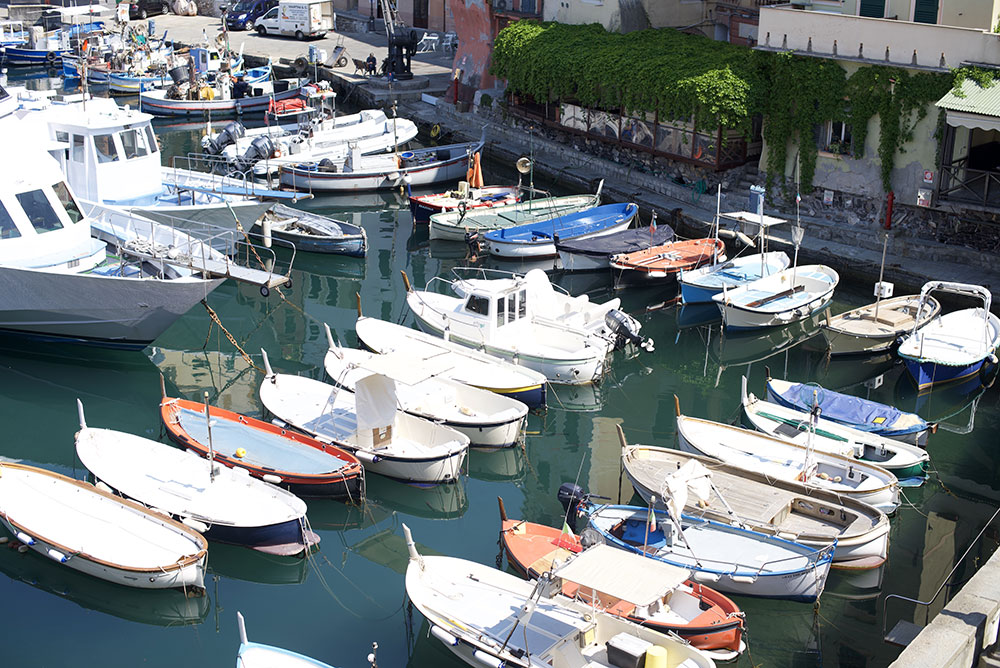 Panorama auf den kleinen Hafen von Camogli