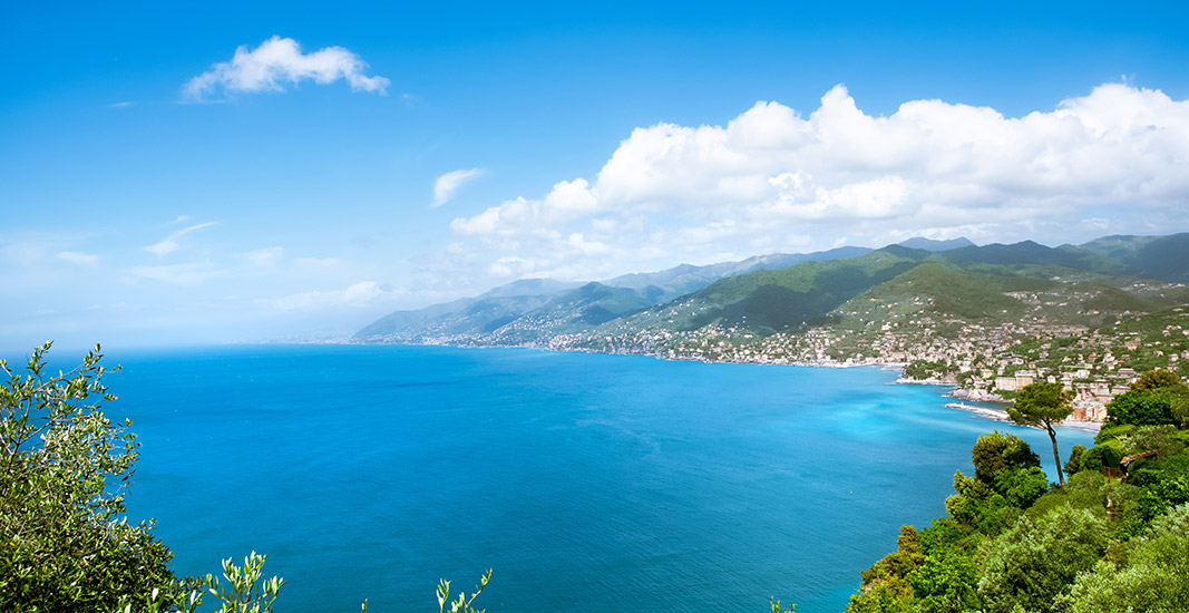 Vista di Camogli da San Rocco