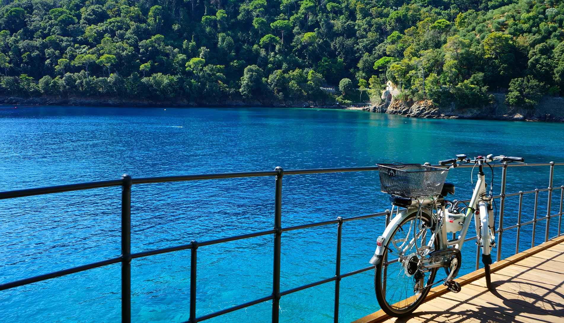 Bici ferma in un percorso vista mare