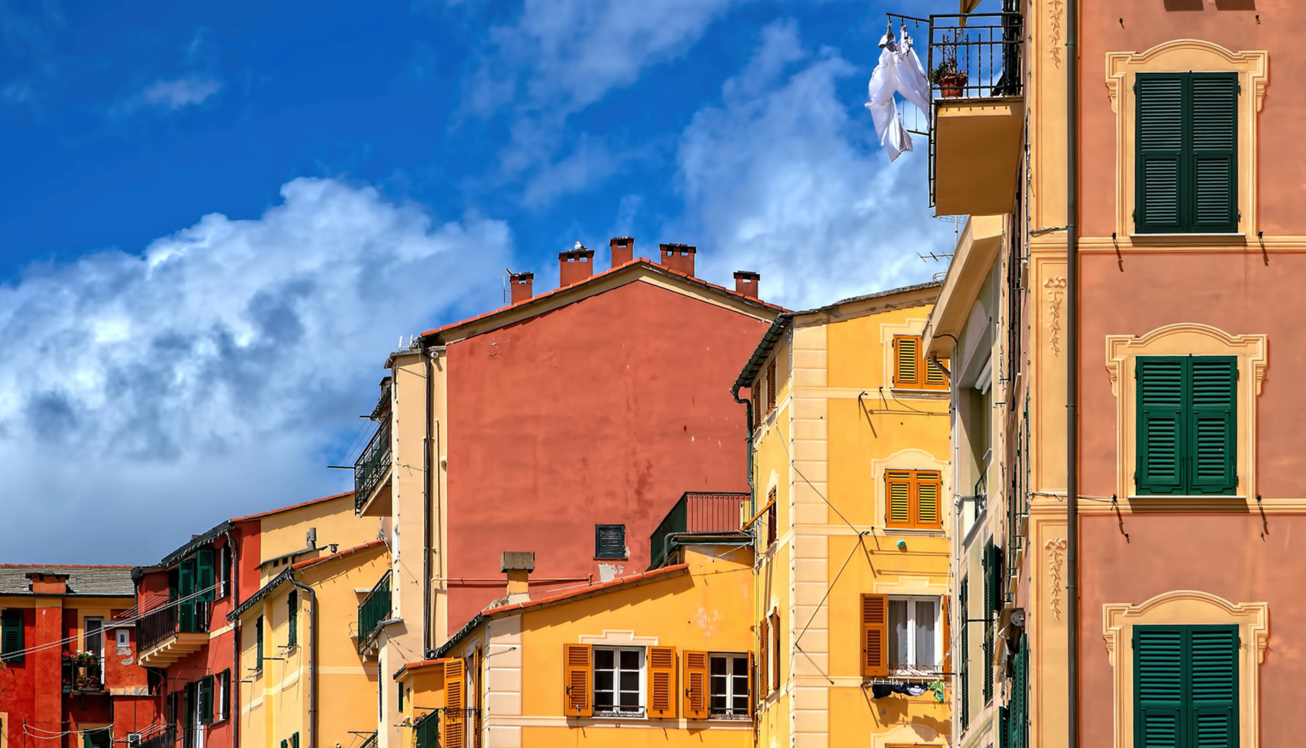 Colored houses in the village of Camogli