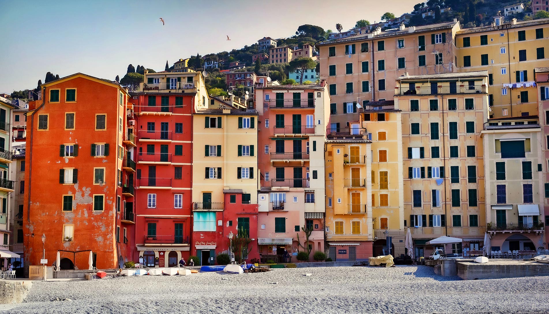 Colorful houses on the Camogli seafront