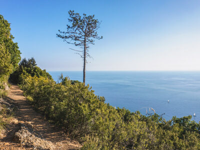 home_passeggiate_e_trekking